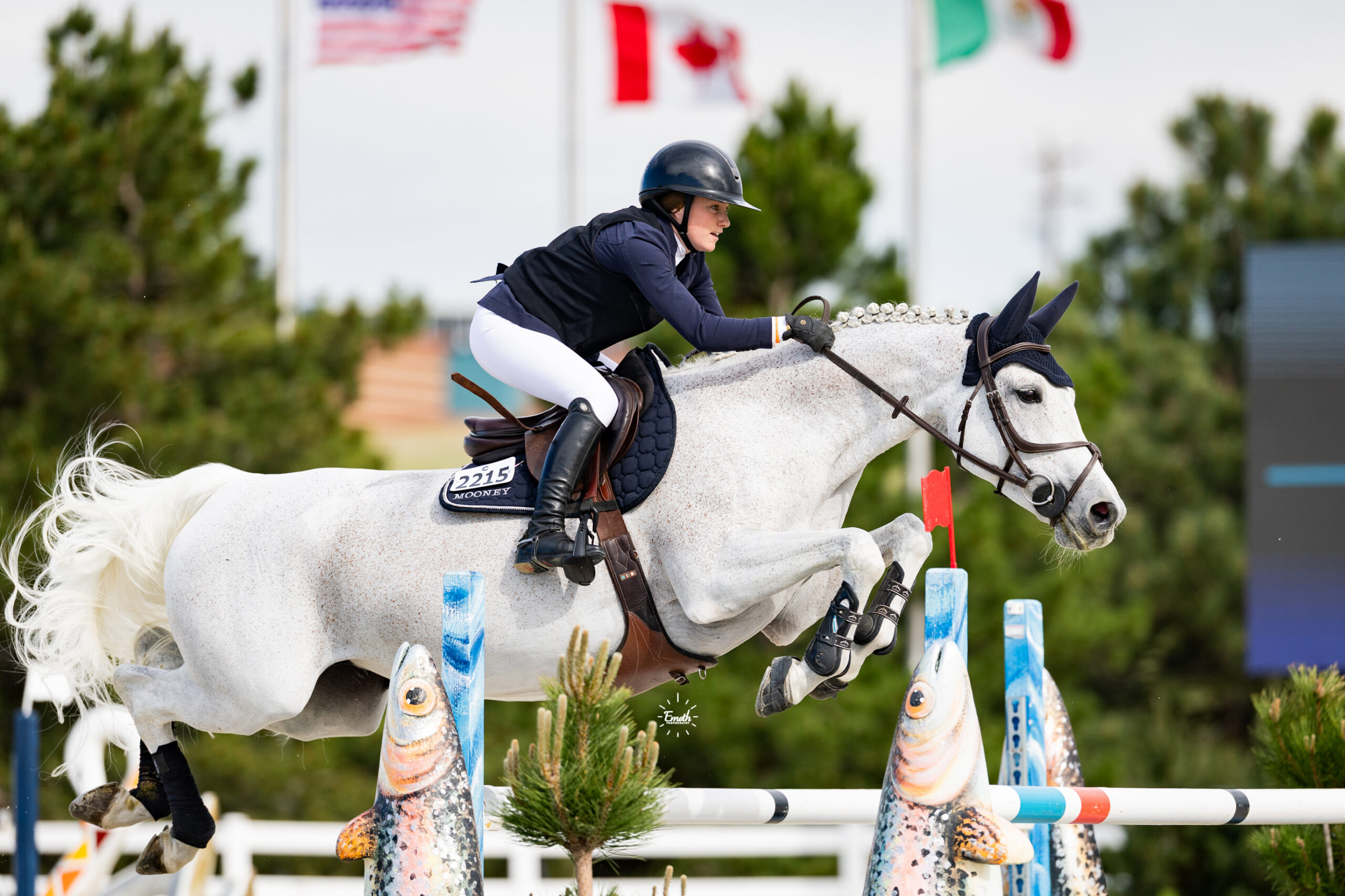 gray horse jumping at the Colorado Jumping Tour
